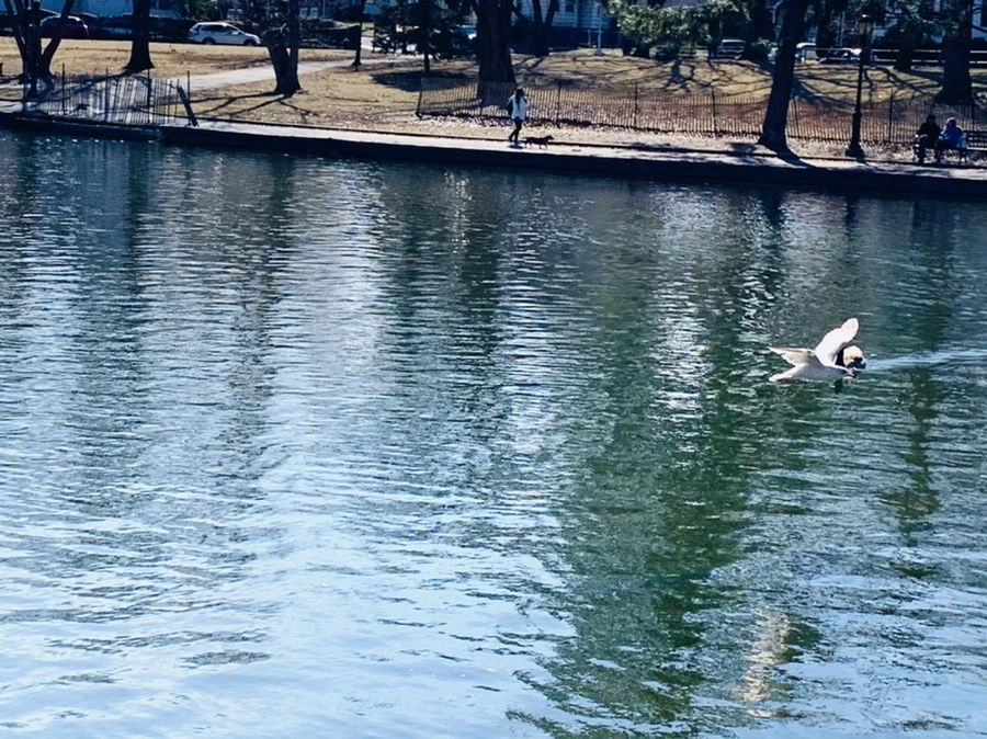 IMG_9577.jpg?type=w966