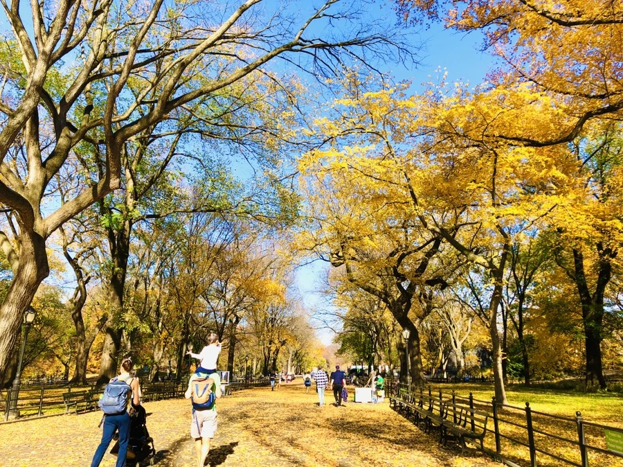 IMG_4257.jpg?type=w966