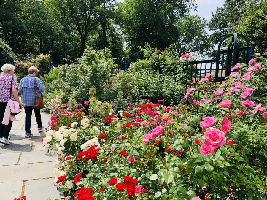 IMG_5668.jpg?type=w966