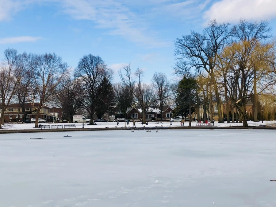 IMG_2884.jpg?type=w966