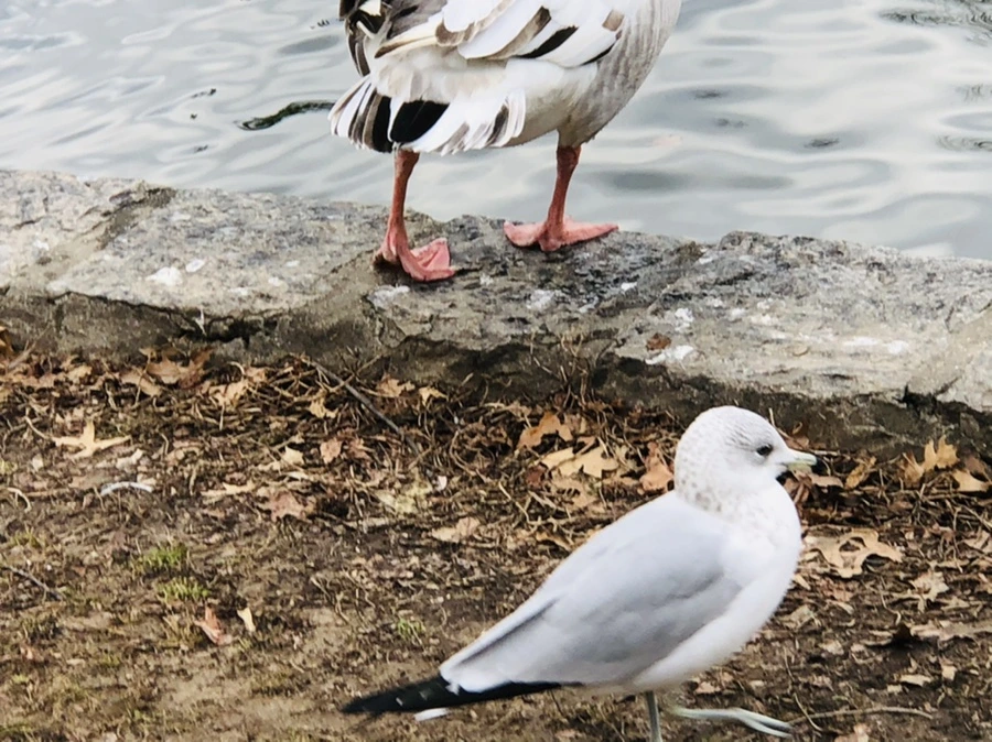 IMG_3937.jpg?type=w966