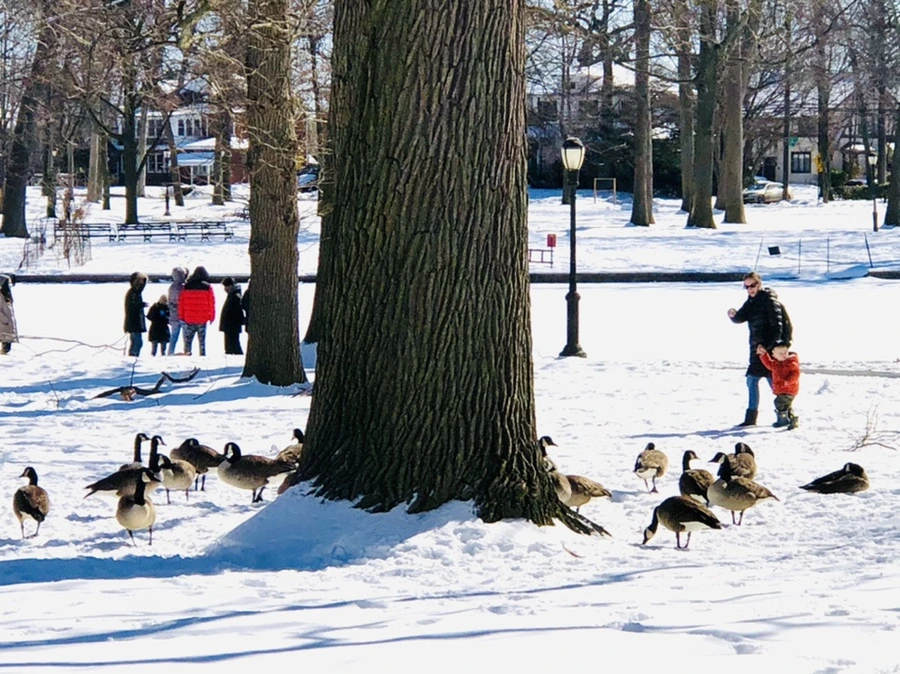 IMG_3991.jpg?type=w966