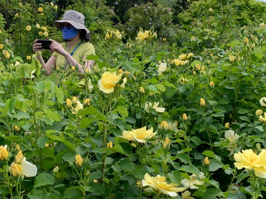 IMG_5817.jpg?type=w966