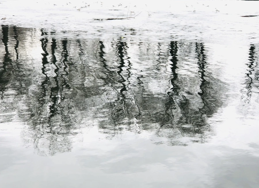 IMG_6460.jpg?type=w966