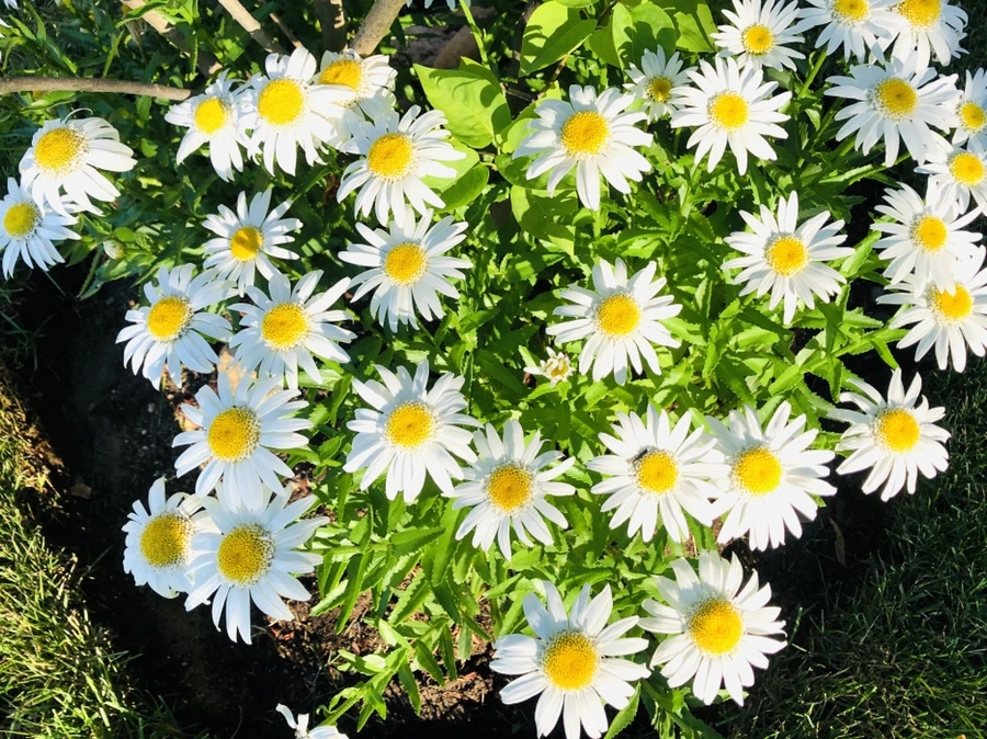 IMG_9077.jpg?type=w966