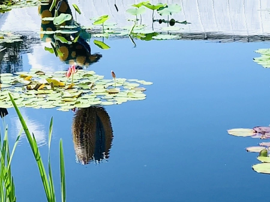 AktV6zZZYBznBcNkvq8t6o9pspw