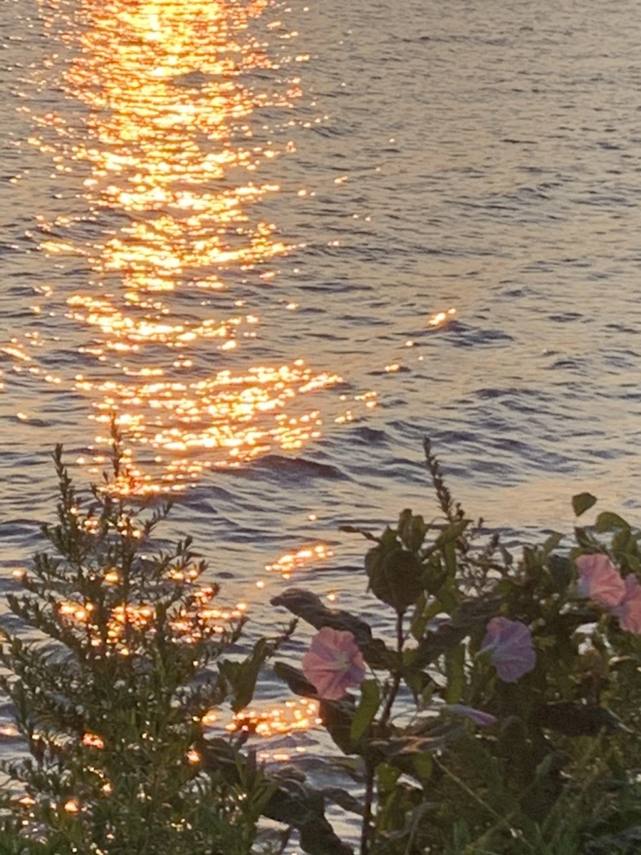 IMG_5523.jpg?type=w966