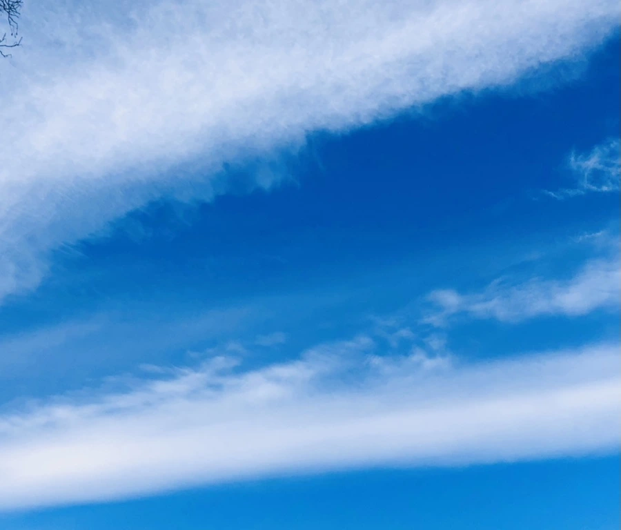 IMG_4814.jpg?type=w966