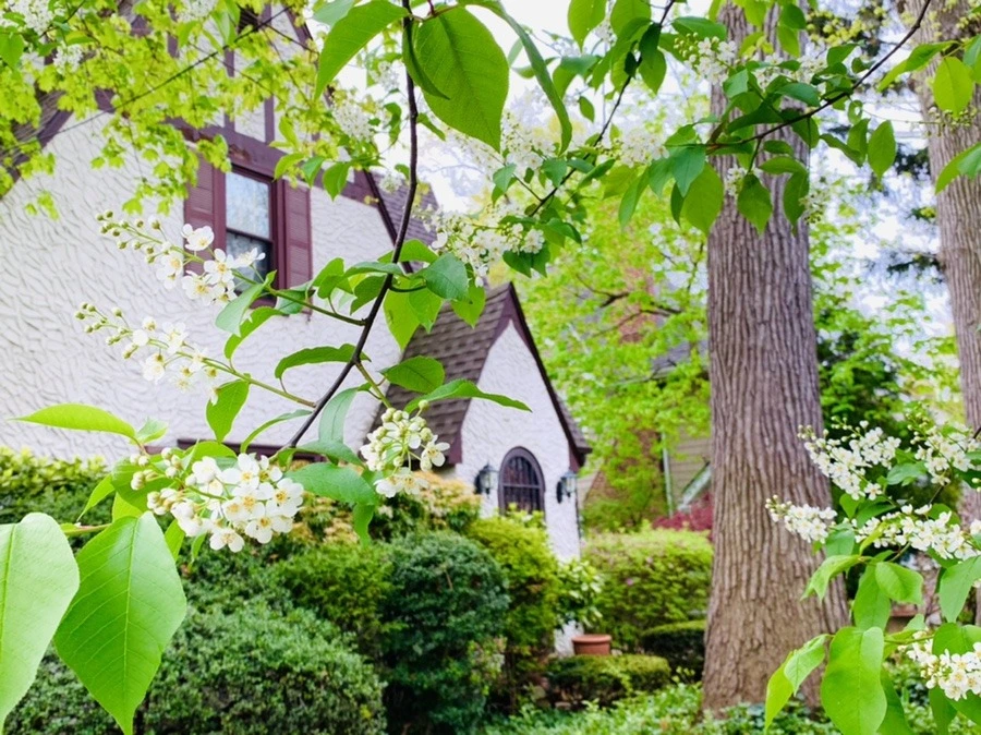 fqwfT9_otndteLIRWkTj666AkT4