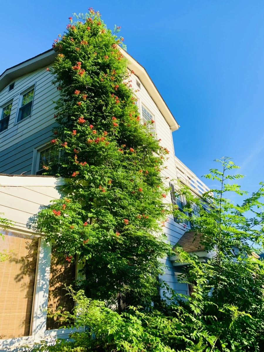 IMG_6489.jpg?type=w966