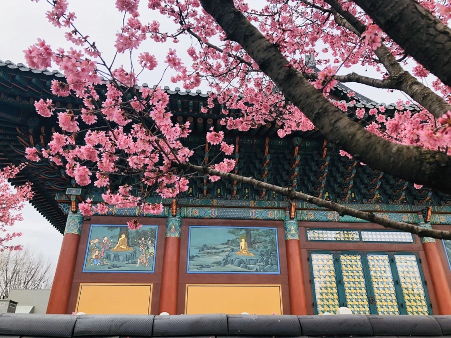 IMG_6122.jpg?type=w966