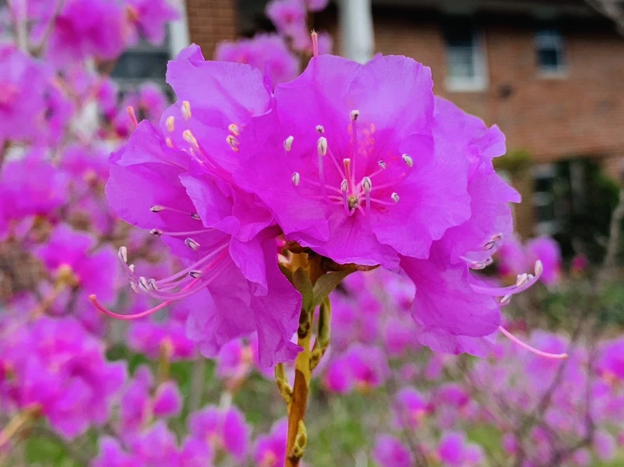 IMG_5943.jpg?type=w966