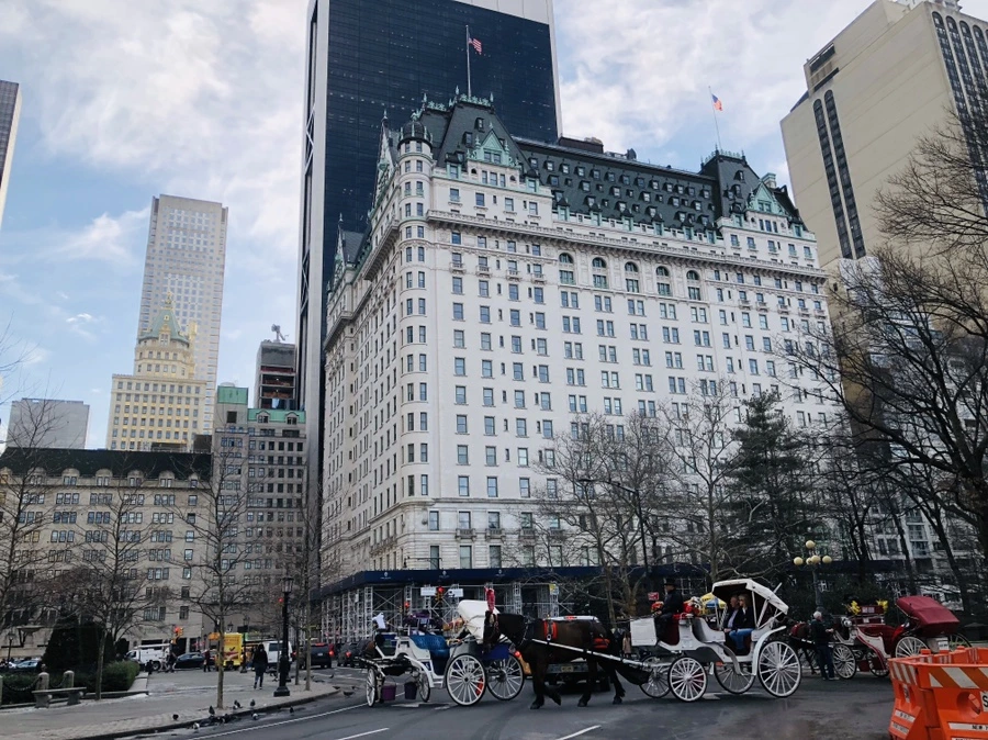 IMG_9416.jpg?type=w966