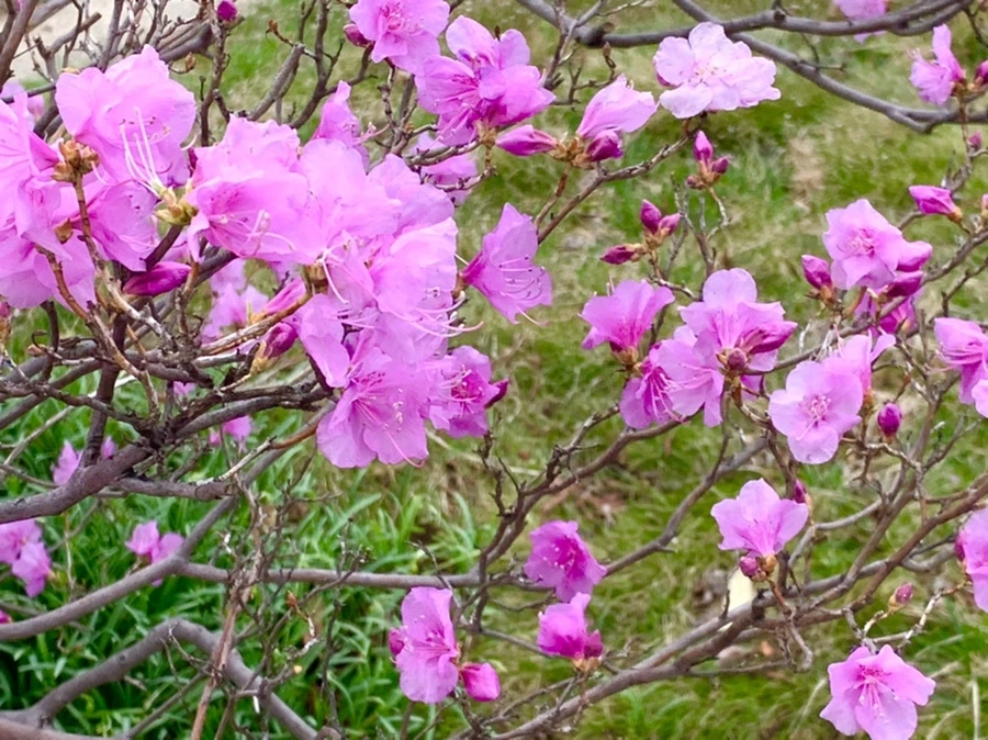 IMG_5992.jpg?type=w966