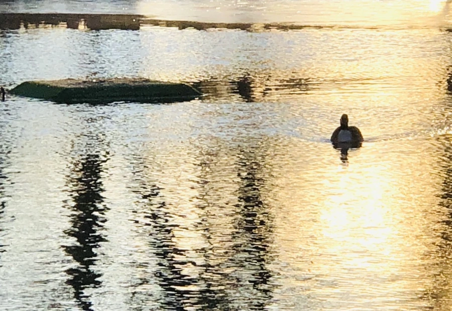 IMG_0927.jpg?type=w966