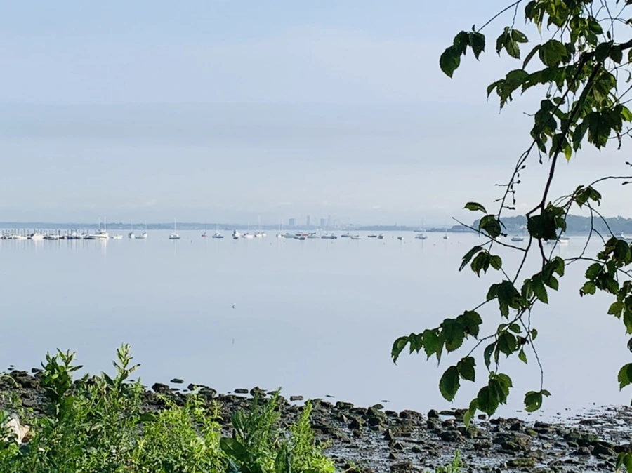 IMG_4399.jpg?type=w966