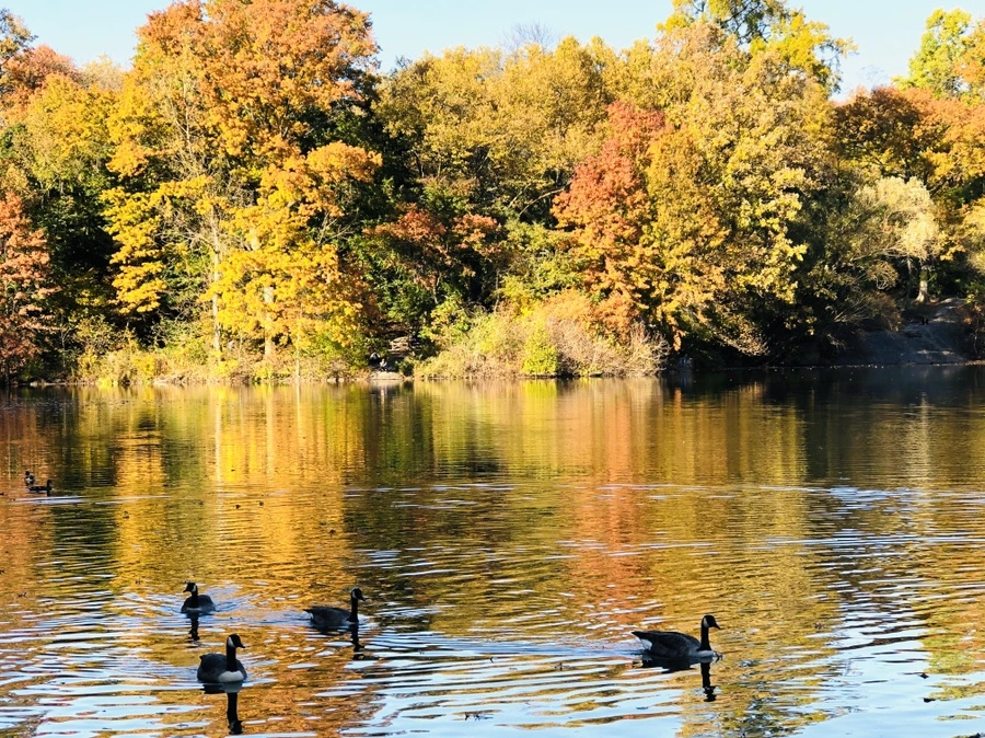 IMG_3554.jpg?type=w966