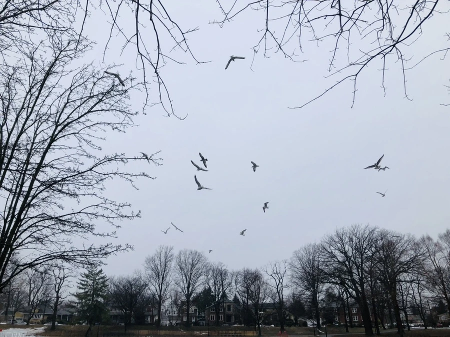 IMG_5625.jpg?type=w966