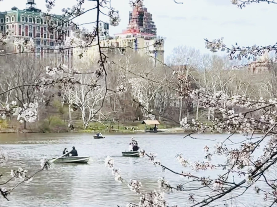 IMG_8865.jpg?type=w966