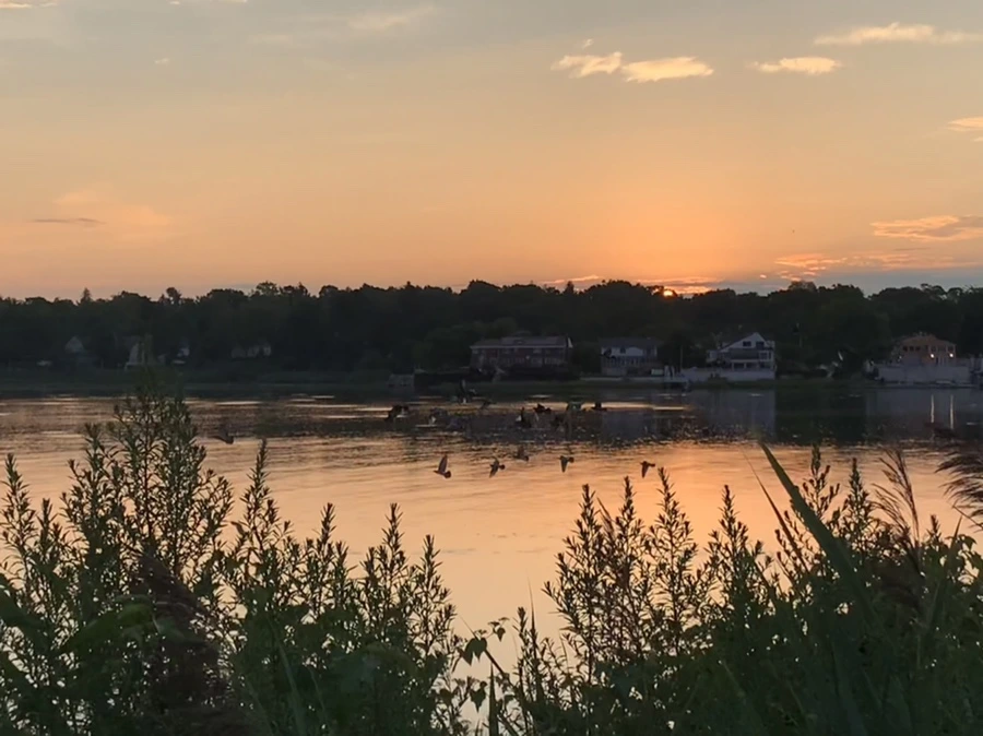 IMG_1245.jpg?type=w966