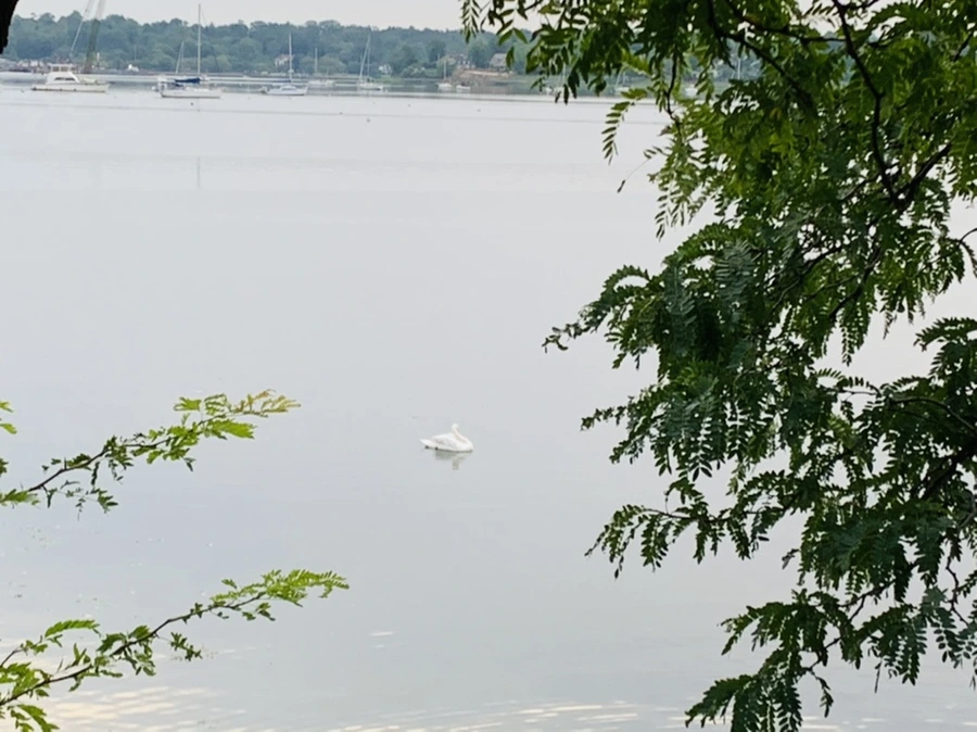 IMG_6389.jpg?type=w966