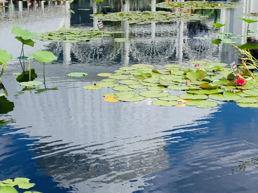 IMG_2089.jpg?type=w966