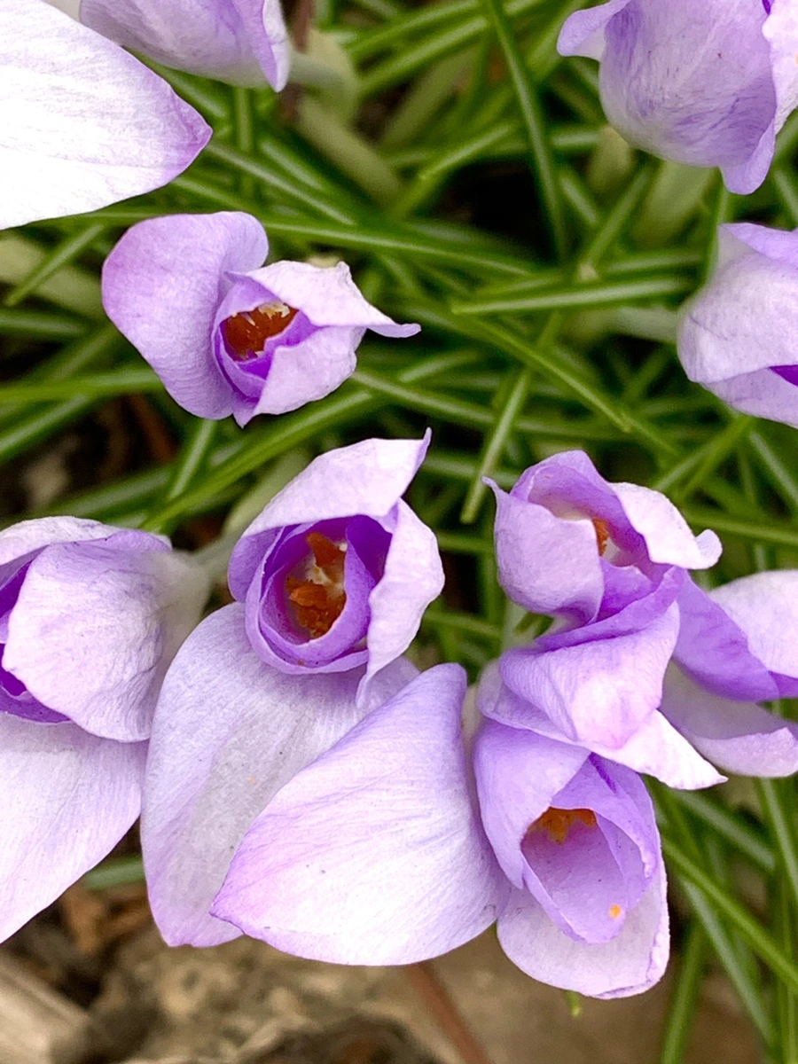 IMG_1723.jpg?type=w966