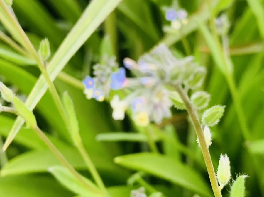 IMG_8643.jpg?type=w966