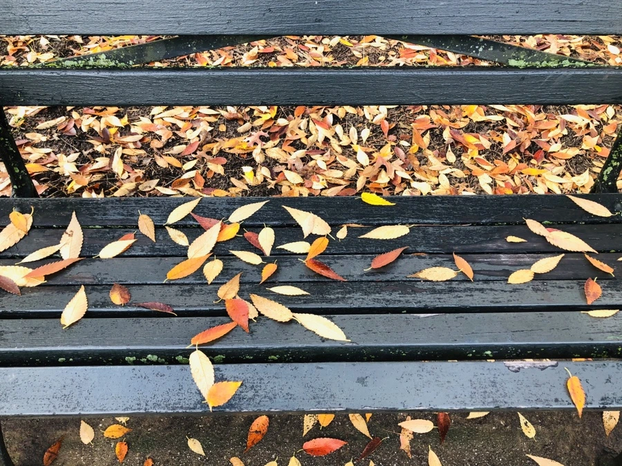 IMG_5486.jpg?type=w966