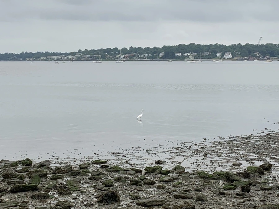 IMG_3648.jpg?type=w966