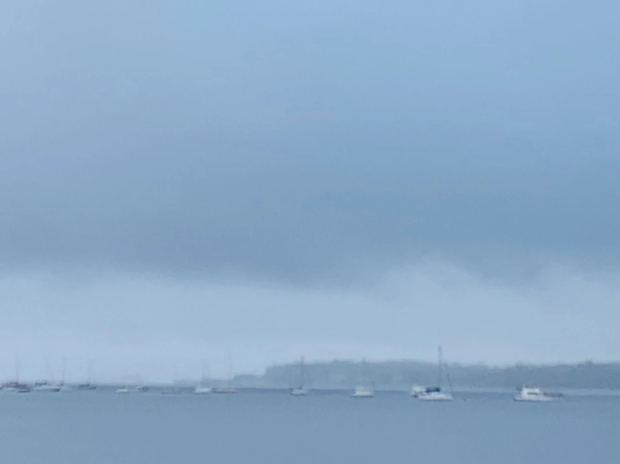 IMG_4794.jpg?type=w966