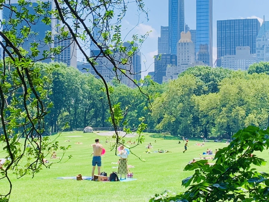 IMG_5399.jpg?type=w966