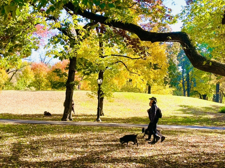 IMG_1674.jpg?type=w966