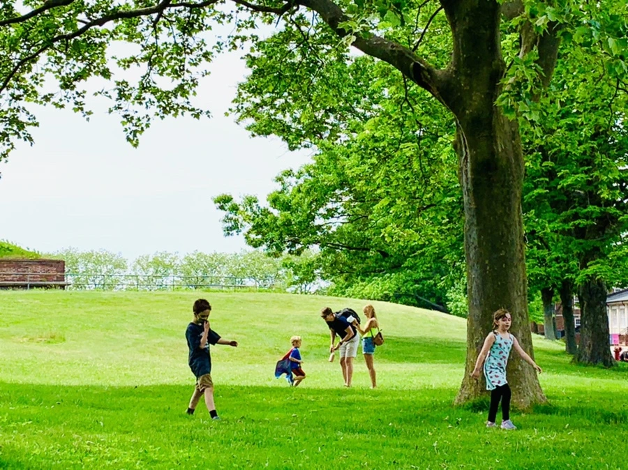 IMG_5178.jpg?type=w966