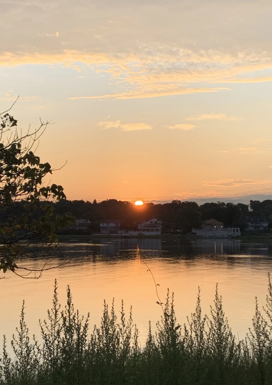 IMG_1260.jpg?type=w966