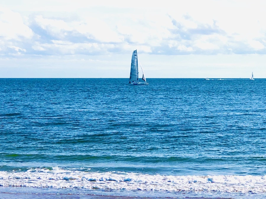 IMG_1388.jpg?type=w966