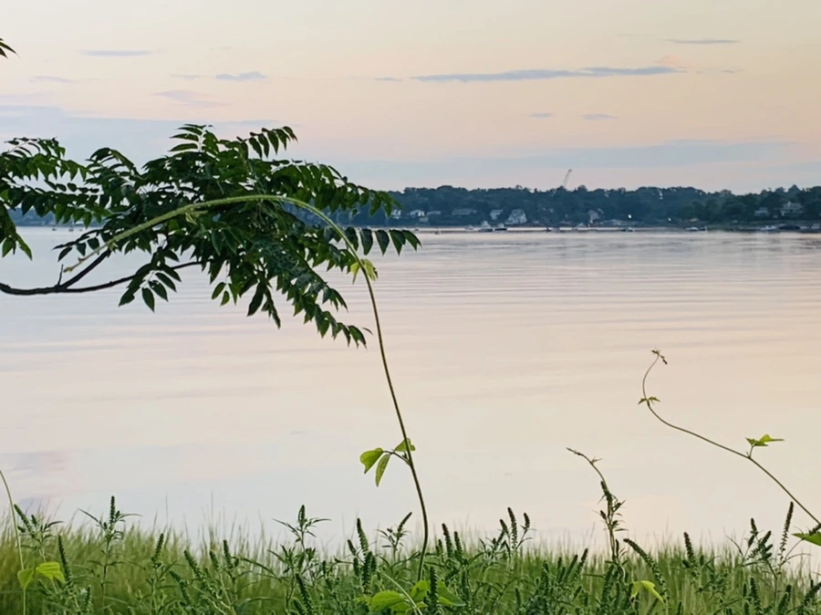 IMG_1178.jpg?type=w966