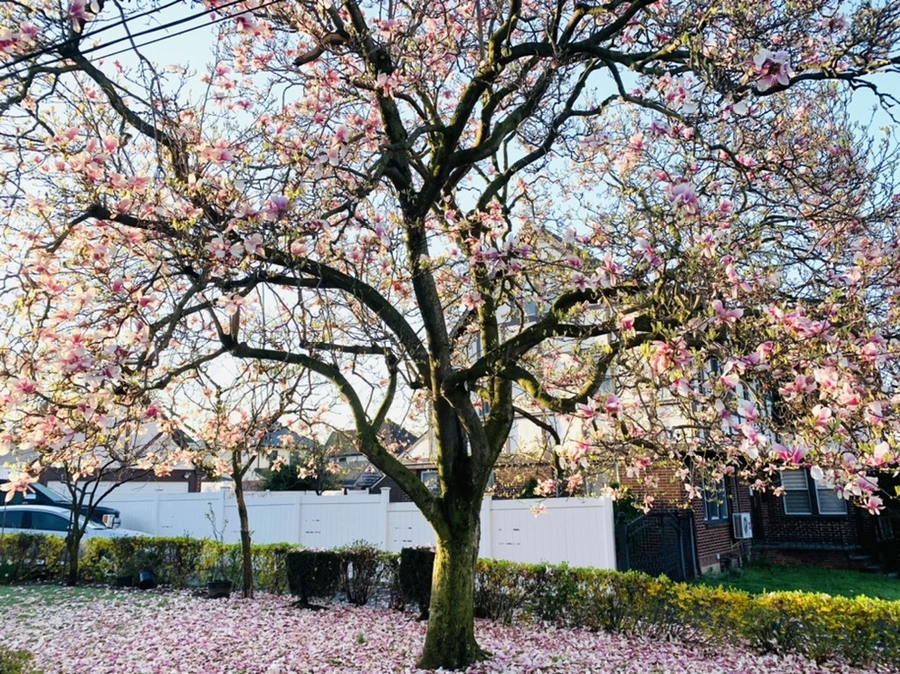 IMG_2424.jpg?type=w966