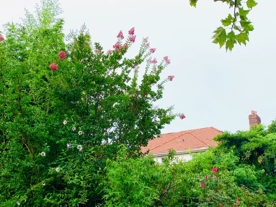 IMG_4497.jpg?type=w966