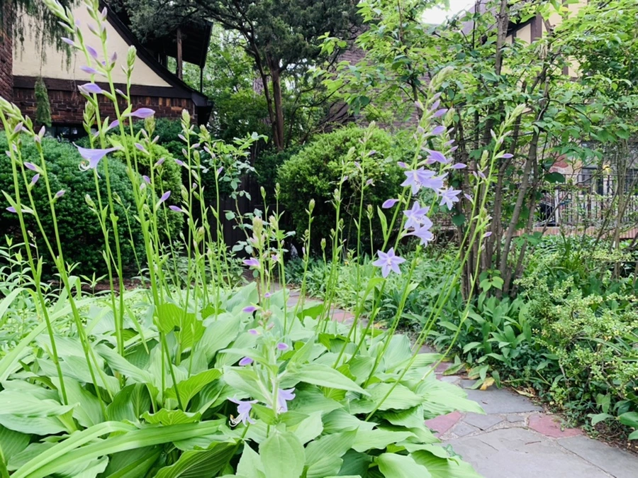 IMG_7171.jpg?type=w966