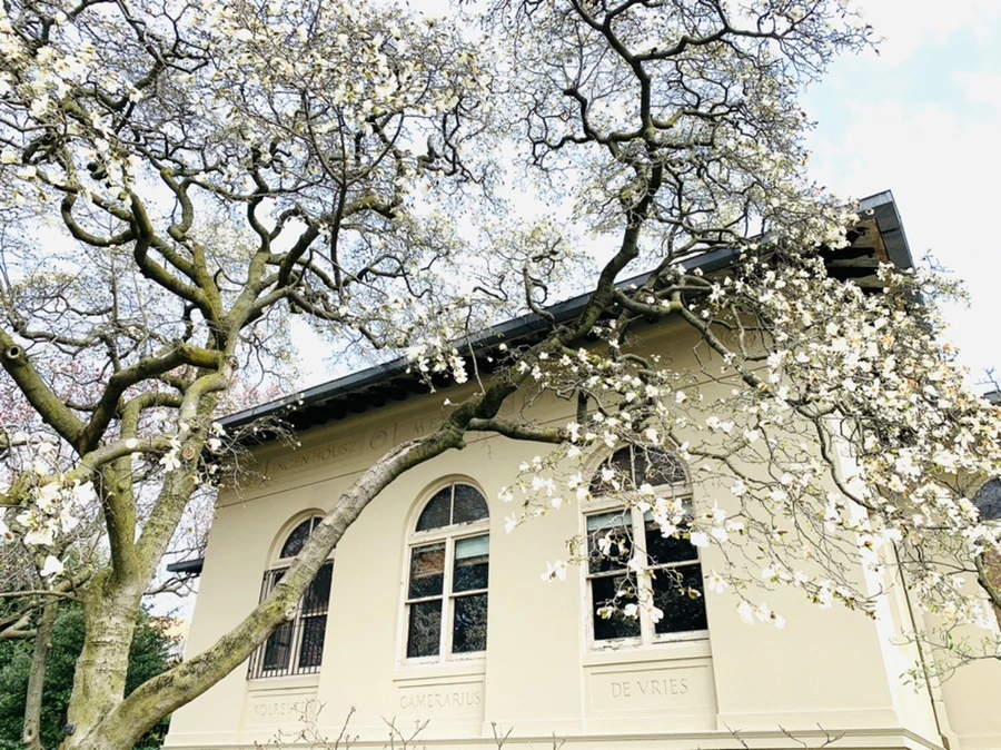 IMG_7162.jpg?type=w966