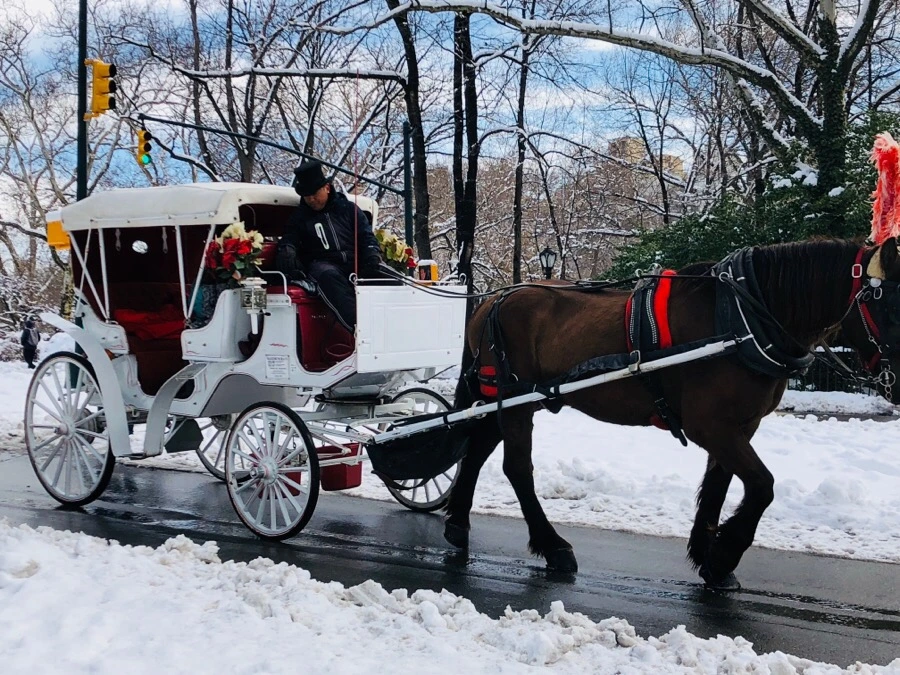 IMG_3492.jpg?type=w966