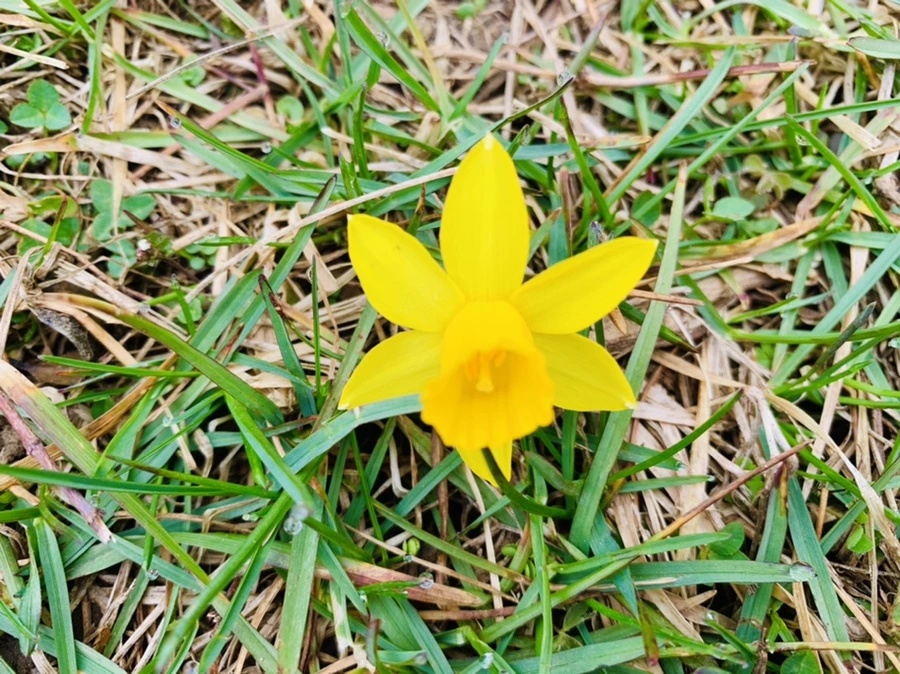 IMG_3196.jpg?type=w966