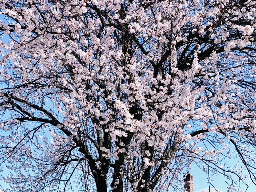 IMG_7943.jpg?type=w966