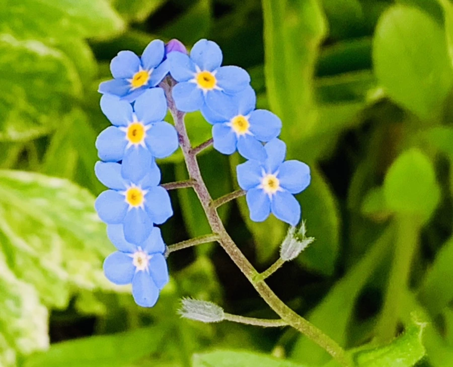 IMG_7682.jpg?type=w966