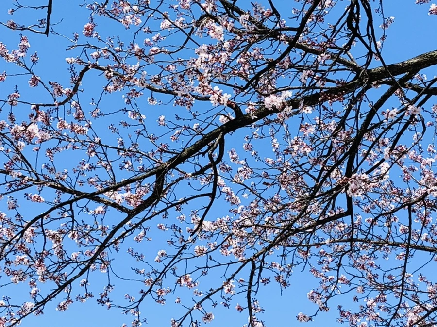 IMG_7749.jpg?type=w966