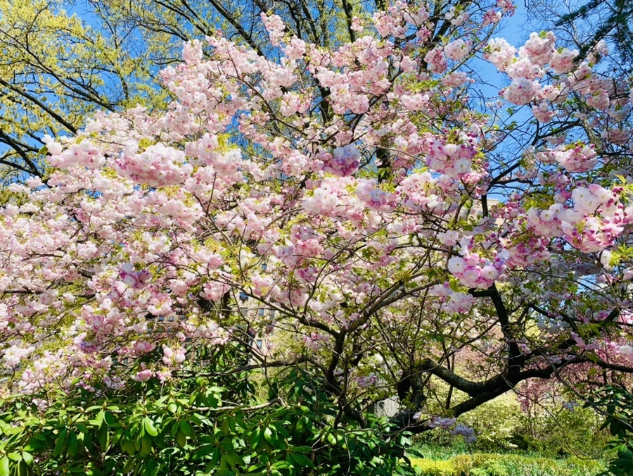 IMG_4814.jpg?type=w966