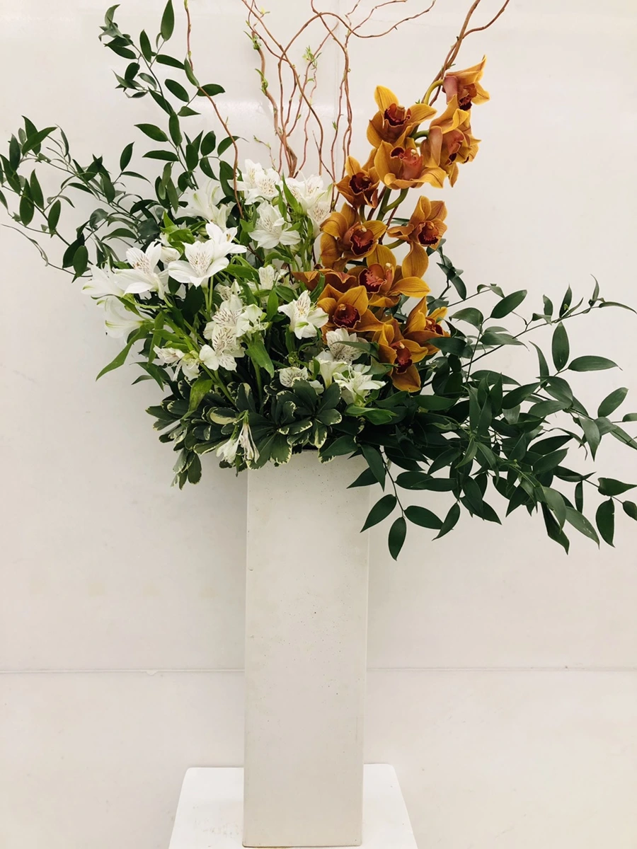 IMG_5222.jpg?type=w966