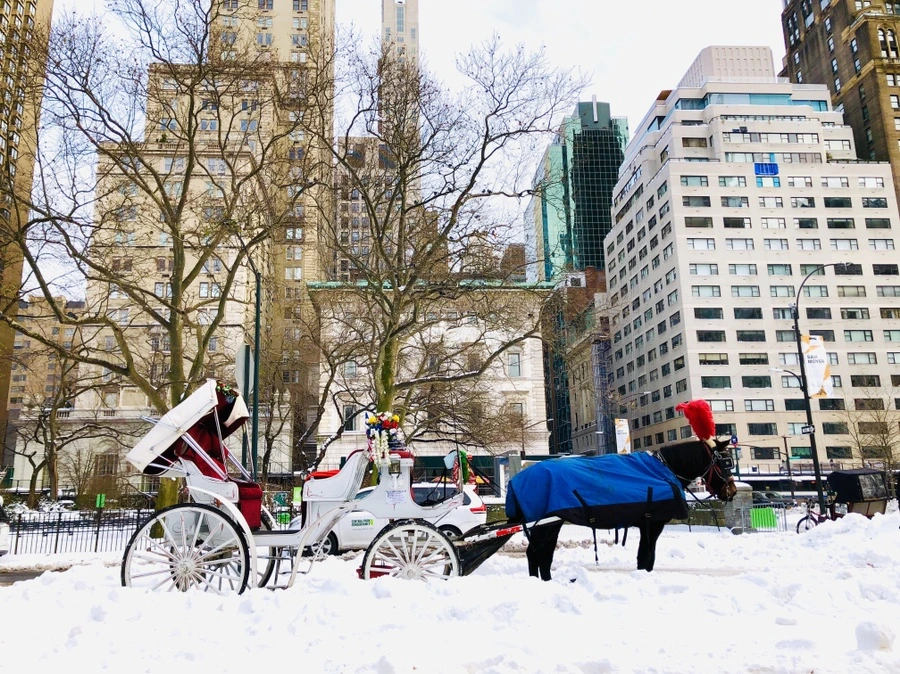 IMG_7396.jpg?type=w966