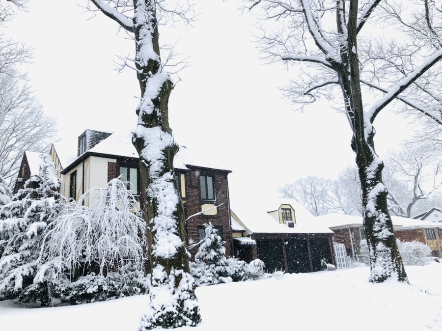 IMG_1009.jpg?type=w966